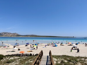 Spiaggia La Pelosa, feiner Sandstrand auf Sardinien<p></p>